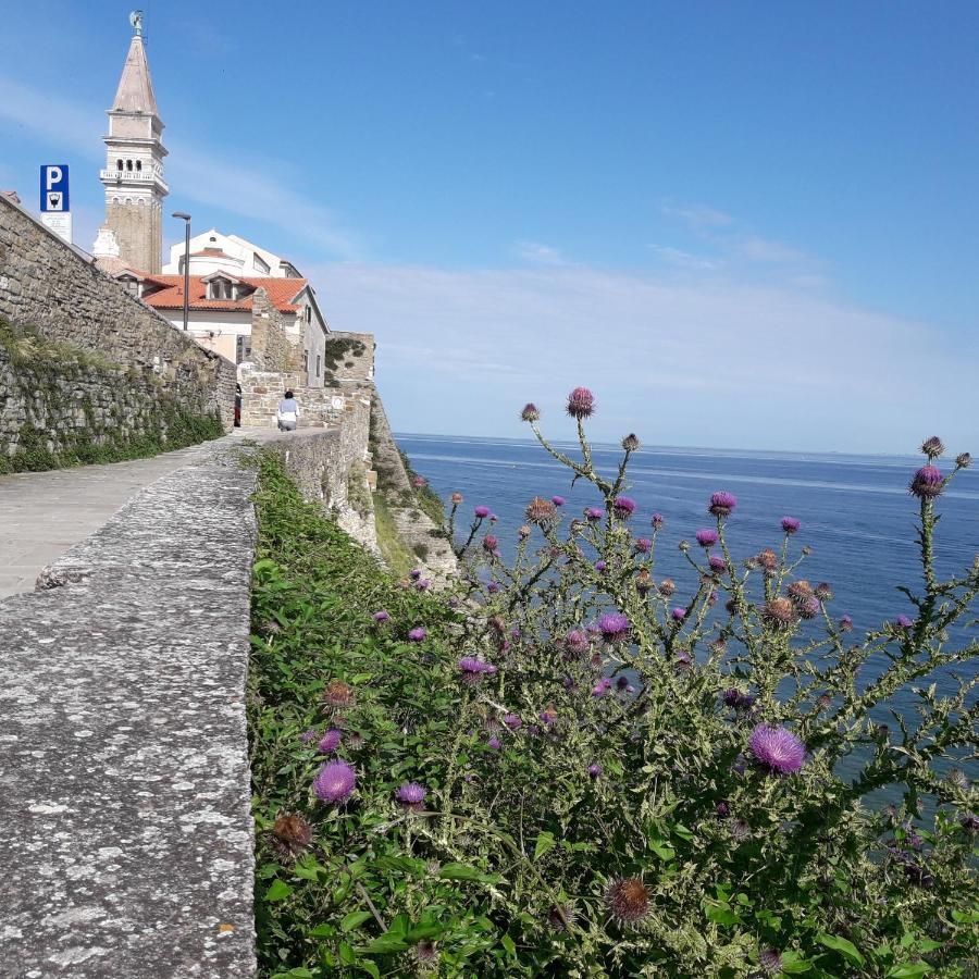 Apartments Olive Garden Piran Exterior foto